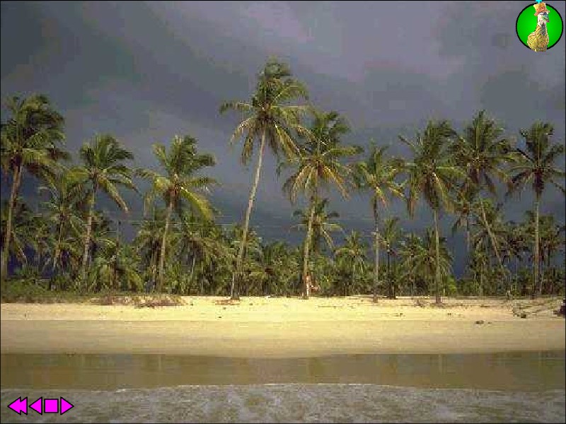 Animutation - Jesus H. Christ